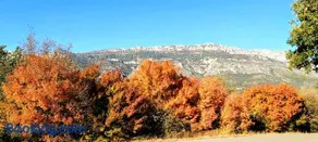 Dúplex Sant Martí - Image 2
