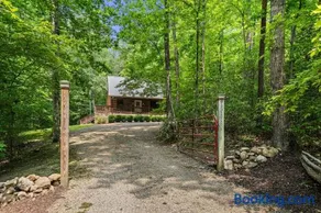 Mountain Laurel - Image 3