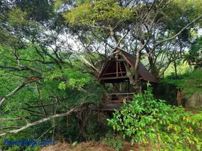 Yambaru Wild Treehouse Kidzy - Image 1