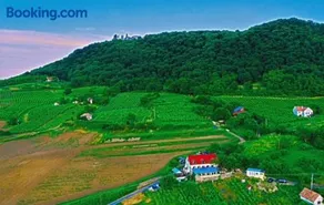 Inhauser Pincészet&Guesthouse&Restaurant - Image 3