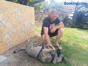 Holiday House Pulina - Image 3