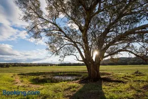 Beaudesert Cottage - Mudgee - Image 5