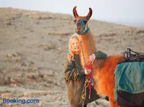 Alpaca Farm - חוות האלפקות - Image 5
