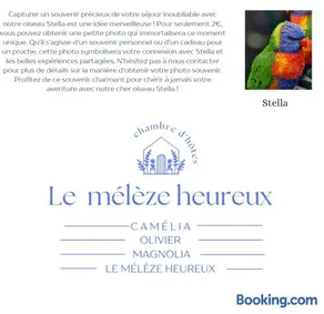Le mélèze heureux - Image 4