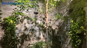 Gấu homestay - Image 2