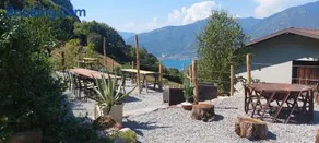 Il Quinto Gelso - Image 1