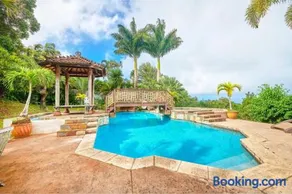 Hawaiian Dream Temple - Image 5