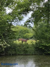Escapade au cœur du Haras - Image 4