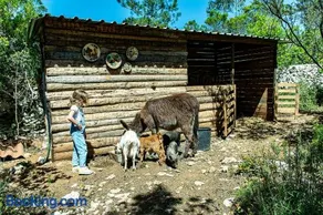 Casal das Fontainhas- Country Farmhouse with Pool - Image 2