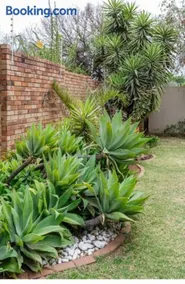 Jewel of Jozi - Image 1