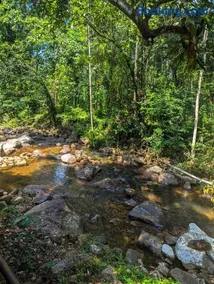 IDAM Homestay Ponmudi - Image 4