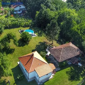 Topola vikendica - Image 2