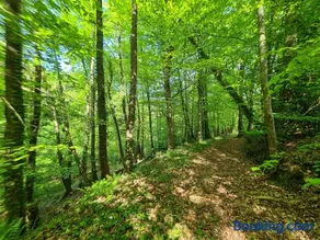 Le Petit Châtelier - Image 2