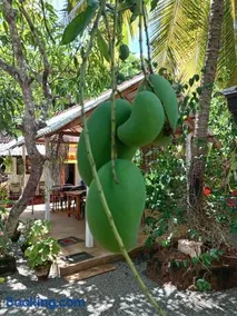 Lake House Home Stay - Image 3