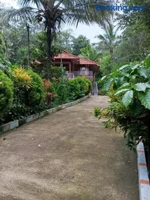 Family Nest Homestay - Image 1