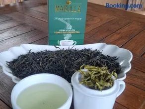 Villa Tea Escape - Image 2