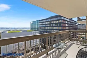 Stylish Apt in Crystal City - Image 4