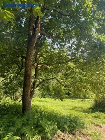 San Bartolomé Etxea 2 - Image 2