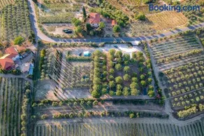 AGRiCAMPiNG POGGiO Ai PiNi WiNE CAMPiNG - Image 1