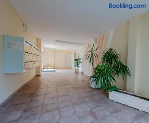 Le perroquet - Image 4
