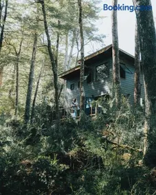 RUKAKUTRAL refugio de bosque - Image 4