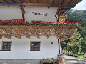 Plattnerhof Kaunertal - Image 4