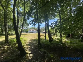 Little Seven Oaks - Image 5