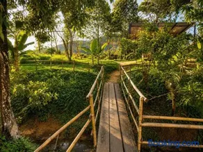 Nhà Mình Garden Homestay - Image 3