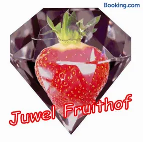 Juwel Fruithof - Image 2