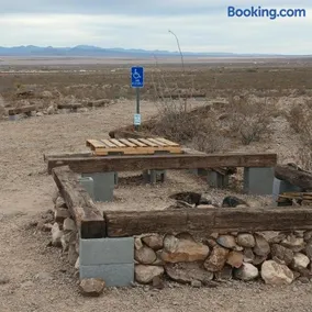 Camping at Desert Gardens Oasis at Lobo, Texas - Image 3