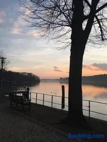 Ferienbungalow Arne am Wald - Image 2