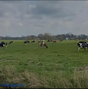 Ferienhof-Meyer - Image 3