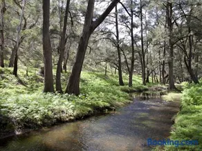 Turon Gates Wilderness Retreat - Lodges, Log Cabins and Glamping near the Blue Mountains - Image 2