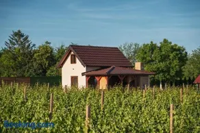 Vikendica Vinogradski Mir, Jacuzzi And Vineyard View - Image 3