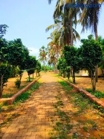 Mangrove Village Inn - Image 1