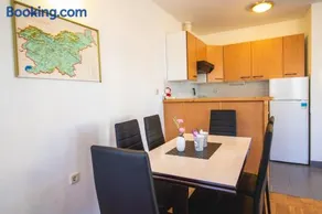 POČITNIŠKI APARTMAJI - Extraordinary apartment in Banovci - Image 1