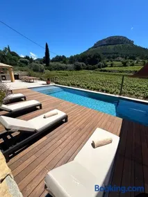 Côté vignes cassis - Image 4