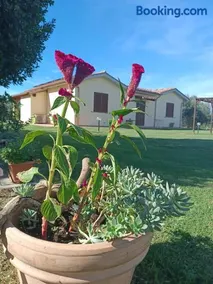 Agriturismo Le Villette di Cate - Image 3