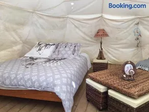 Tipis nature - Image 3