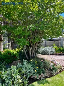 Pepper Tree Guesthouse - Image 3