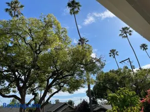 Pasadena Quiet Gem with Fiber Internet WiFi and Workspace - Image 2
