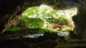 Mejorana - Image 4