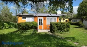 Bärenklau - Image 3