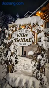 Villa Bellini Borszék - Image 3