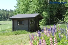 Hännilän Tila - Image 4