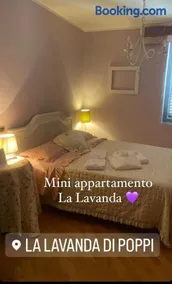 La lavanda di Poppi-mini appartamento - Image 2