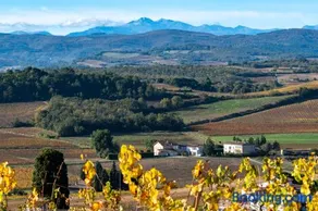 Charme au cœur des vignes - Image 4