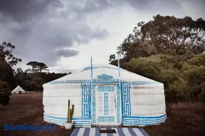 Boogaloo Camp - Image 2
