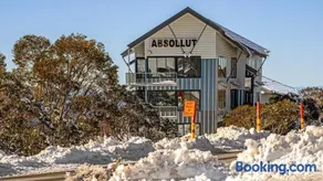 Absollut 4 - Image 4