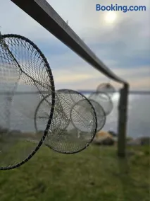 Fischerstern - Image 3